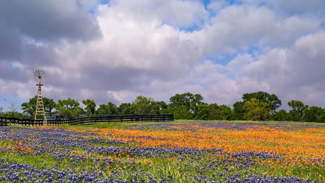 What Are The Top Romantic Things To Do Near Austin?