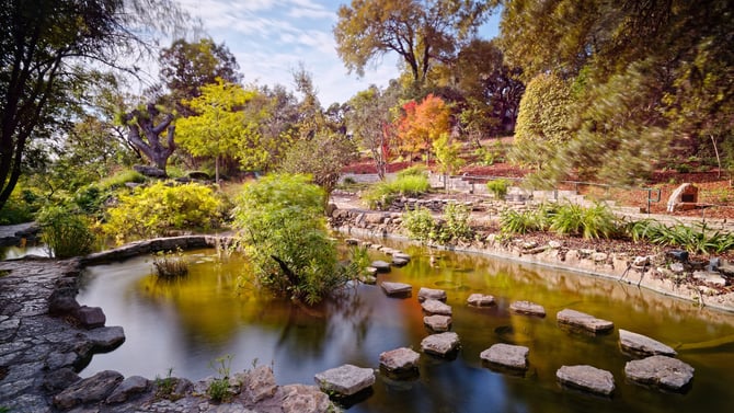 What Are Some Free Things to Do in Austin?